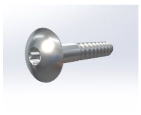 5.5mm x 32mm Torx T20 Mushroom Head A2 St/St  Wood Screw